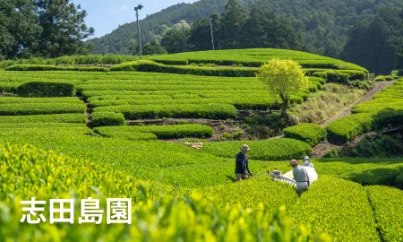 志田島園のバナー